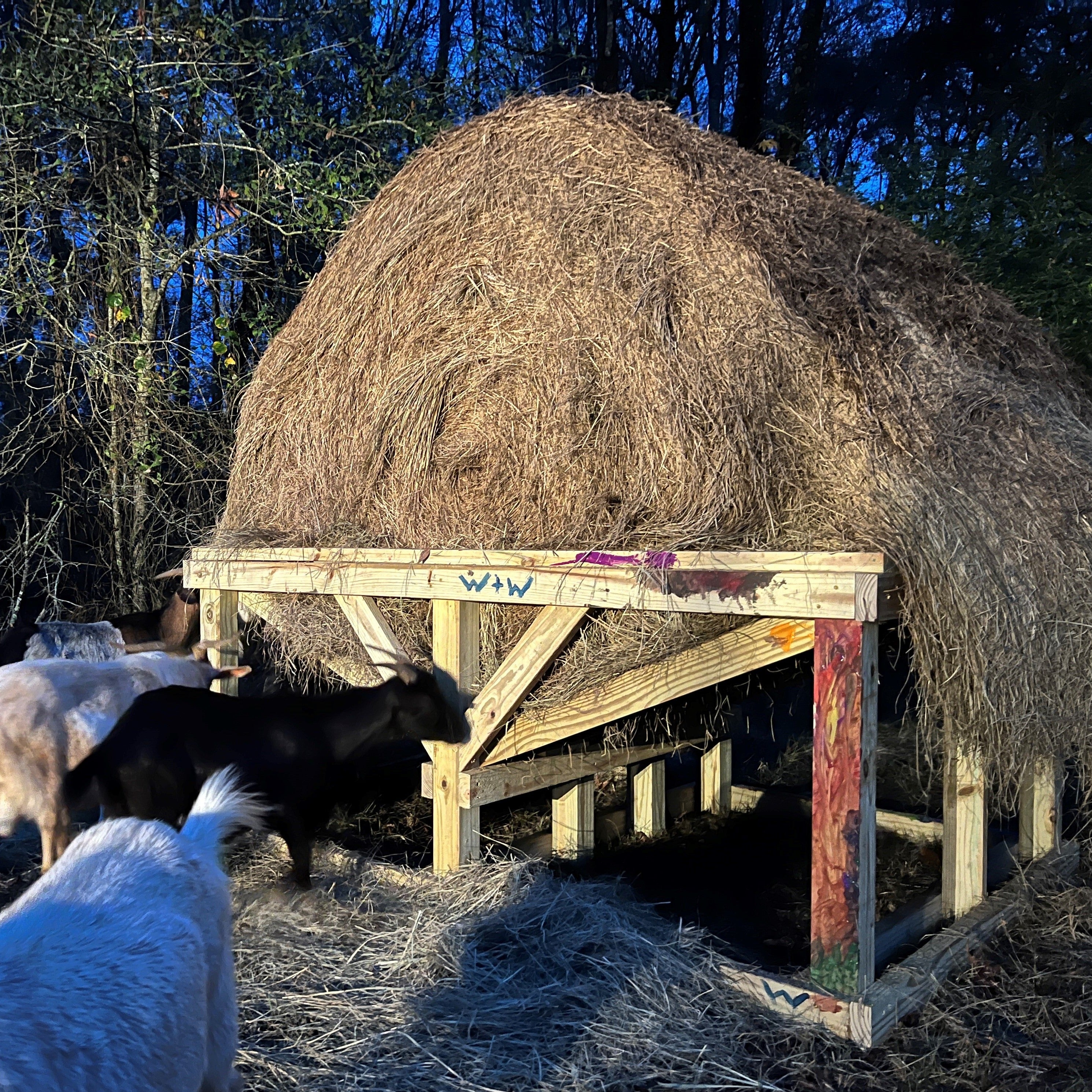 Walter's Hay Feeder - Design Download